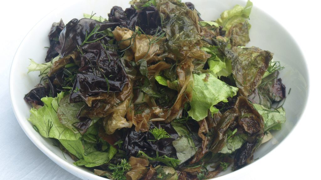 Blattsalate mit feinen Salatalgen
