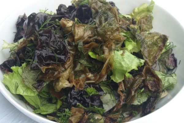 Blattsalate mit feinen Salatalgen