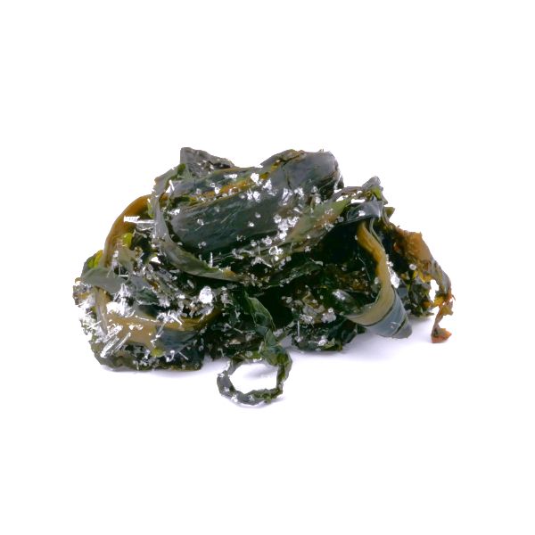 Frische Wakame