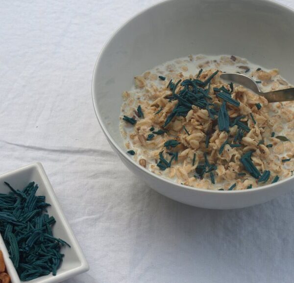 kerniges Porridge mit Spirulina-Granulat