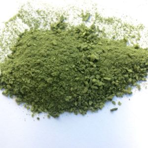 Codium Pulver