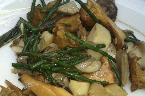 Herbstpilze mit frischem Queller