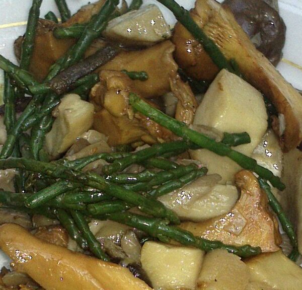 Herbstpilze mit frischem Queller