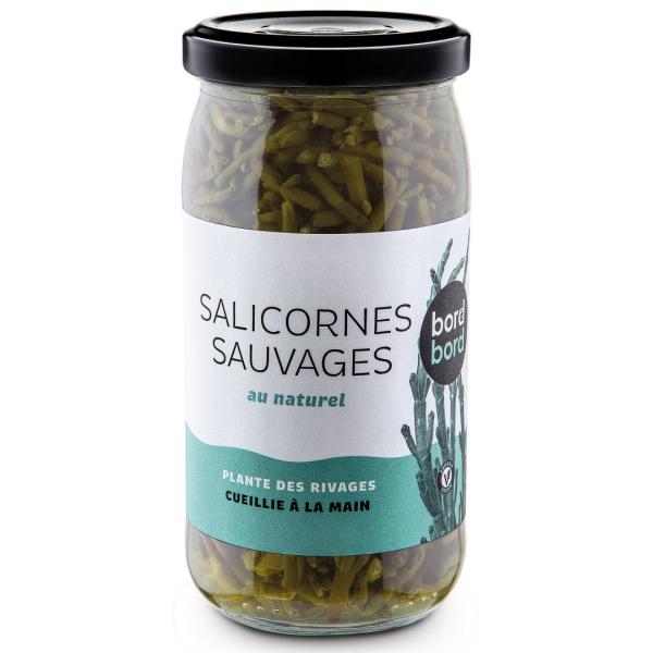 Salicornes