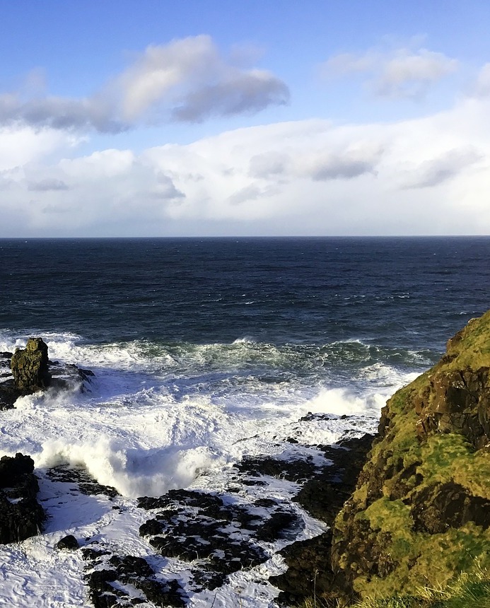 Irland Algen Clare
