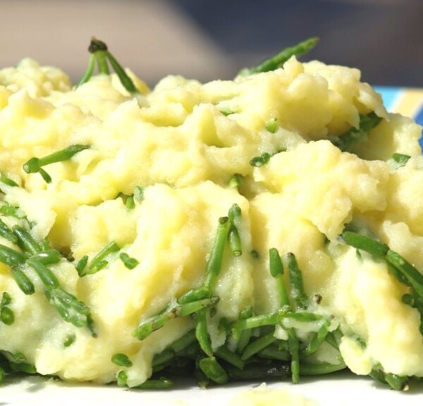 Herzhafte Stampfkartoffeln mit knackigem Queller