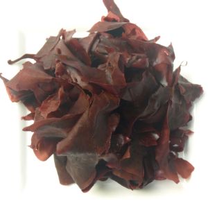 Dulse Blätter feucht