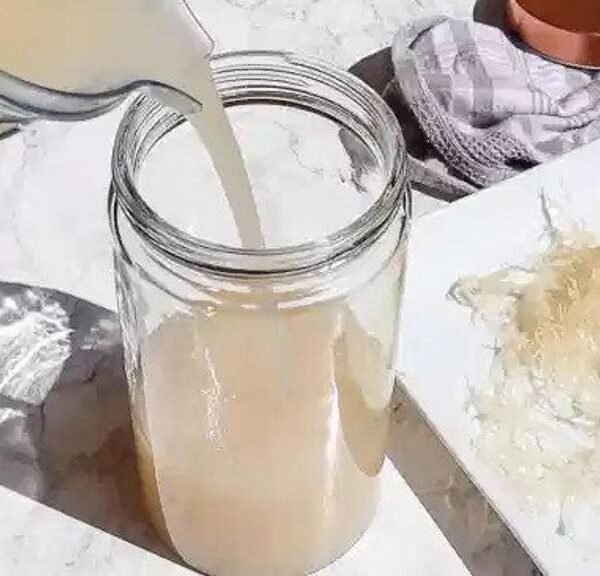 Irisches-Moos-Gel für Desserts und Smoothies