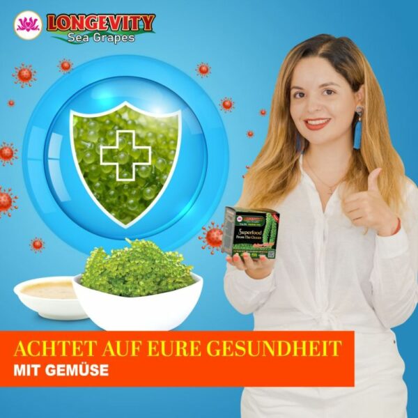 Umibudo - Meerestraube in Salz – 6x20g_10