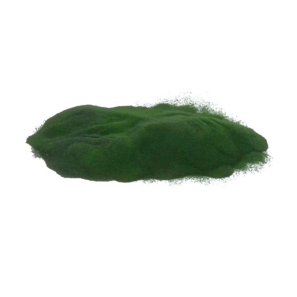 Chlorella Pulver