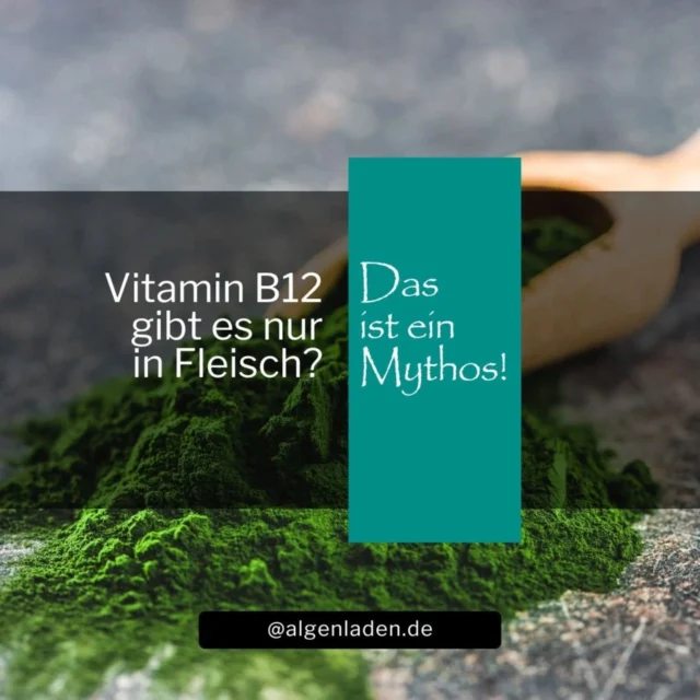 💥 Vitamin B12 aus Pflanzen – geht das überhaupt?

Viele glauben: Ohne Fleisch kein B12. Doch wusstest du, dass bestimmte Algen – allen voran Chlorella – eine bioverfügbare Form liefern können?

🌿 Besonders spannend für Veganer:innen, Vegetarier:innen und alle, die auf ihre Nerven, Konzentration & Energie achten.

In unserem neuen Post erfährst du: ✅ Warum B12 so wichtig ist
✅ Welche Algen wirklich helfen – und welche nicht
✅ Wie du Chlorella easy in deinen Alltag integrierst

👉 Swipe durch & sichere dir deine B12-Quelle direkt beim @algenladen 🌱
#vitaminb12 #chlorella #algenpower #veganleben #pflanzlicheernährung #gesundundlecker #superfood #seaweed #algengenuss #algen