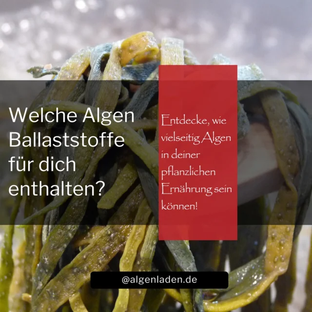 Algen sind wahre Multitalente aus dem Meer reich an Ballaststoffen und vielseitig einsetzbar in der pflanzlichen Küche. Entdecke in unserem neuesten Blogartikel, welche Algenarten besonders ballaststoffreich sind und wie du sie in deinen Alltag integrieren kannst.
Tauche ein in die Welt der Algen und finde heraus, wie sie deine Ernährung bereichern können.
👉 Lies jetzt den vollständigen Artikel auf unserem Blog!

Hashtags:
#ballaststoffe #pflanzlicheernährung #nachhaltigekochen #meeresschätze #algenküche #superfoodalgen #vegankochen #meeresgemüse #algenladen #algenrezepte #algenwissen #algengenuss #seaweed